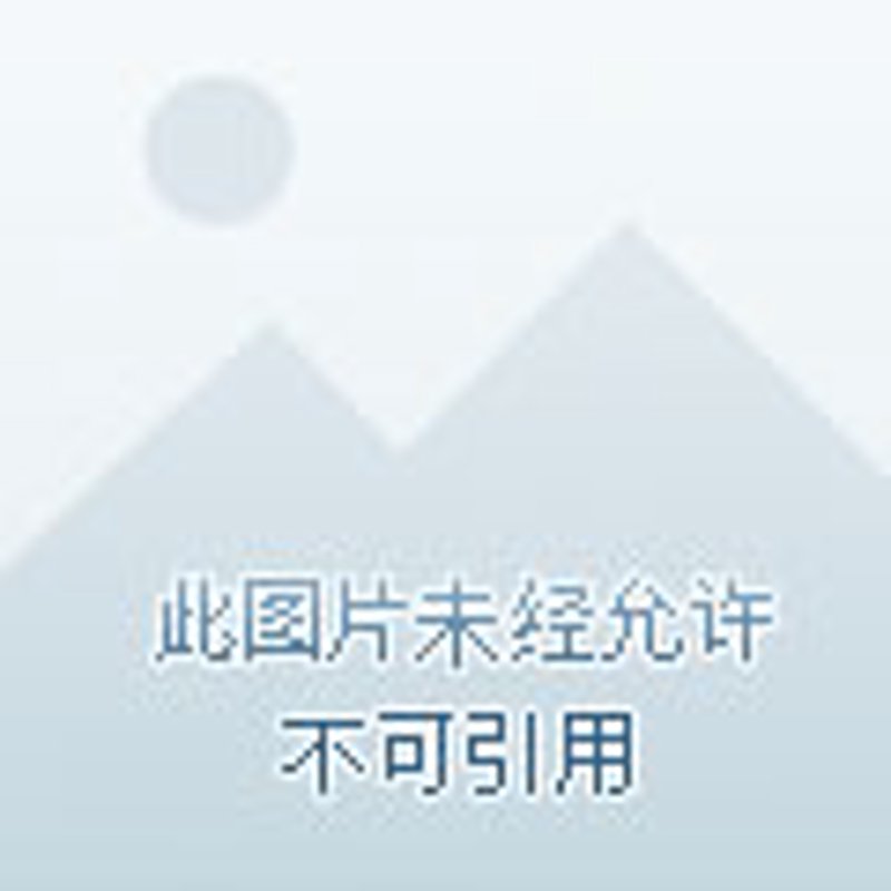 如何选择最合适的航空公司？——一次机票预订的深度解析